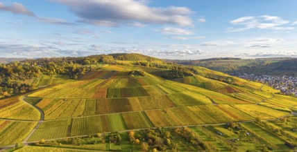 Extensive landscape with colorful vineyards under blue sky, autumn, near Strümpfelbach im Remstal,