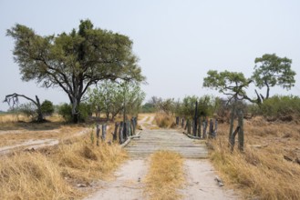 Bridge in Moremi Game Reserve, Botswana