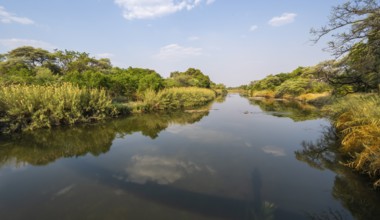 Kavango River, landscape, Zambezi region, Caprivi Strip, Namibia