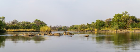 Panorama, landscape on the Kavango River, Zambezi region, Caprivi Strip, Namibia