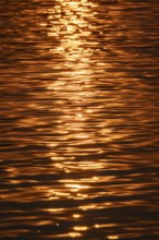 Water, Kavango River, sunset, Zambezi region, Caprivi Strip, Namibia