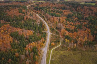 Winding road through dense autumn forest with colorful leaves, new Lindenrain industrial park,