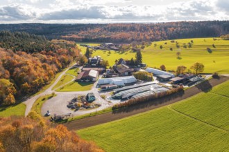 Autumn landscape with farm, fields and forests in vivid colors, new Lindenrain industrial park,