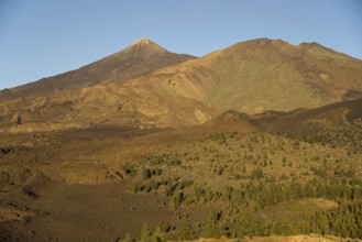 Europe, Spain, Canary Islands, Tenerife, Teide National Park, panorama from Mirador de Chio to Pico