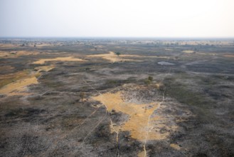 Dry season, structure and pattern of trails, burnt landscape, aerial view of the Okavango Delta,