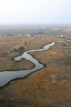 Wetland, landscape, aerial view of the Okavango Delta, near Maun, Okavango Delta, Botswana