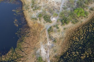 Road through marshland, landscape, aerial view of the Okavango Delta, near Maun, Okavango Delta,