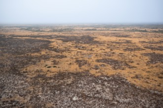 Dry season, dry landscape, aerial view of the Okavango Delta, near Maun, Okavango Delta, Botswana