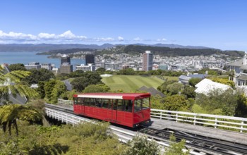 Panoramic skyline of Wellington downtown harbor, financial center and Lambton harbor