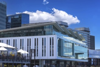 Scenic Panoramic skyline of Wellington downtown harbor and financial center in New Zealand