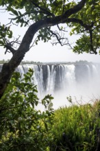Water plunges into the depths, Victoria Falls with jungle and green plants, Zambezi, Zimbabwe