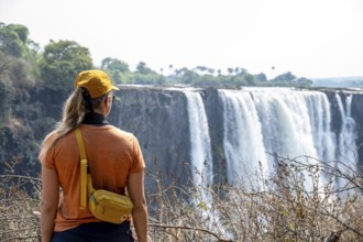 Tourist looking at waterfalls, water plunging into the depths, Victoria Falls, Zimbabwe