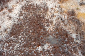 Arid savanna landscape, near Maun, aerial view, Okavango Delta, Botswana