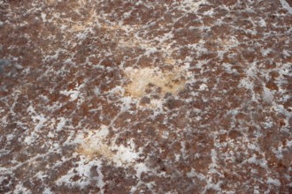 Structure, dry savanna landscape, near Maun, aerial view, Okavango Delta, Botswana