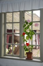 Geraniums in an old barred window and with a view out onto a half-timbered courtyard with a