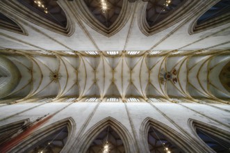 Interior photo, vaulted ceiling, church ceiling, central nave, interior view, Cathedral of Our Lady