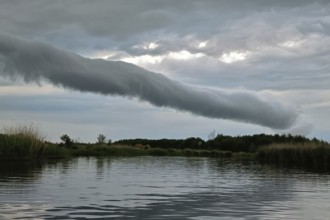 A long cloud tube stretches across a calm lake with reeds and cloudy sky, Peenetal nature park