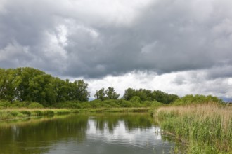 A quiet river surrounded by thick vegetation under a cloudy sky, Peenetal nature park Park,
