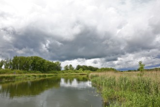 A cloudy sky over a quiet river amid green riparian vegetation, Peenetal nature park Park,