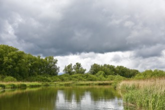 A river under heavy clouds, surrounded by lush trees and tall vegetation, Peenetal nature park