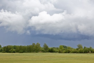 Grey clouds float over a green meadow lined with trees, Peenetal nature park Park,