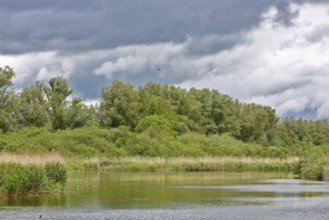 River landscape with wooded riverbank under heavily cloudy sky, Peenetal nature park Park,
