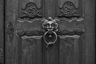 Detailed view, door knob, door knocker, portal, historic Leube house, Leube house, old town, Ulm,