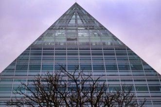 Tree, bare, behind a glass pyramid of the Central Library, City Library, Old Town, Ulm, wintery,