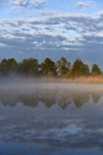 A foggy lake in the morning light with trees and clouds, a peaceful picture, Peenetal nature park