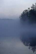 A quiet, foggy lake at dusk with trees and mystical atmosphere, Peenetal nature park Park,
