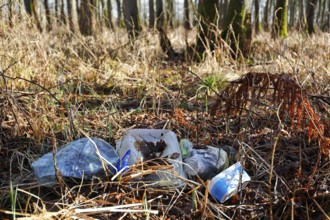 Plastic waste in a dry forest, a sign of environmental pollution, Peenetal nature park Park,