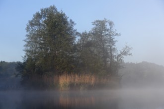 Cool morning atmosphere, trees reflected in foggy water, Peenetal nature park Park,