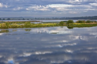 Reflection of clouds in a calm, extensive body of water, Peenetal nature park Park,