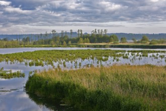 A quiet water area surrounded by green meadows and cloudy skies, Peenetal nature park Park,