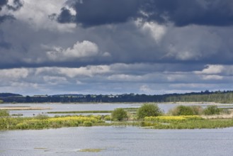 Dramatic sky over a vast lake surrounded by green vegetation, Peenetal nature park Park,