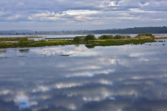 Cloudy sky landscape reflected in a vast, still body of water, Peenetal nature park Park,