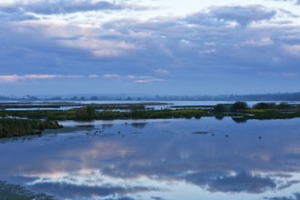 Extensive lake with slightly cloudy sky and calm water surface, Peenetal nature park Park,