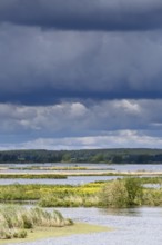 Dark clouds over an extensive water area with green landscape, Peenetal nature park Park,