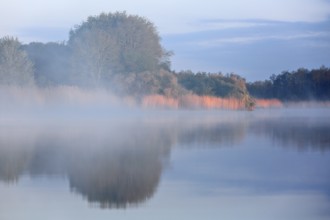 A foggy lake with trees in the background, peaceful morning atmosphere, Peenetal nature park Park,