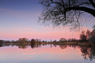 Quiet atmosphere at sunset with pink sky, tree reflection in the lake, Peenetal nature park Park,