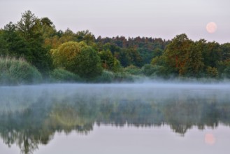A foggy river with moonlight and trees on the banks creates a peaceful atmosphere, Peenetal nature