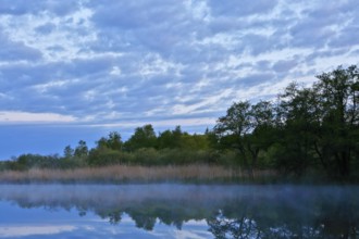 A calm lake reflects trees and a cloudy sky in the evening light, Peenetal nature park Park,