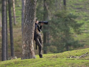 A nature photographer leaning against a pine tree, North Rhine-Westphalia, Germany