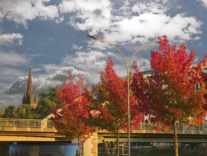 Autumn colors on the Weseranger Rinteln Germany