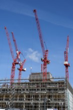 Red construction crows at Bau Alexanderplatz Berlin Germany
