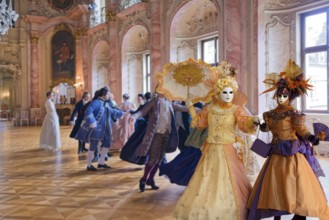 Venice Carnival Palazzo Inside Venice Italy