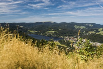 Titisee, Black Forest, Southern Black Forest, Baden-Württemberg, Germany