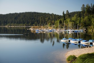 Morning atmosphere with colorful paddle boats and rowing boats, Schluchsee, Black Forest, Southern