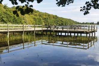 Holzsteg am Felsensee, Hammersø, Hammerknuden, Allinge-Sandvig, Bornholm, Denmark