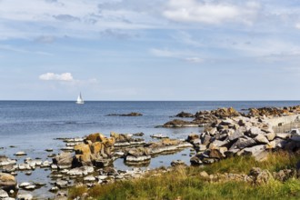 Coastline with granite rocks and sailboat, Hammerknuden, Allinge, Bornholm, Denmark